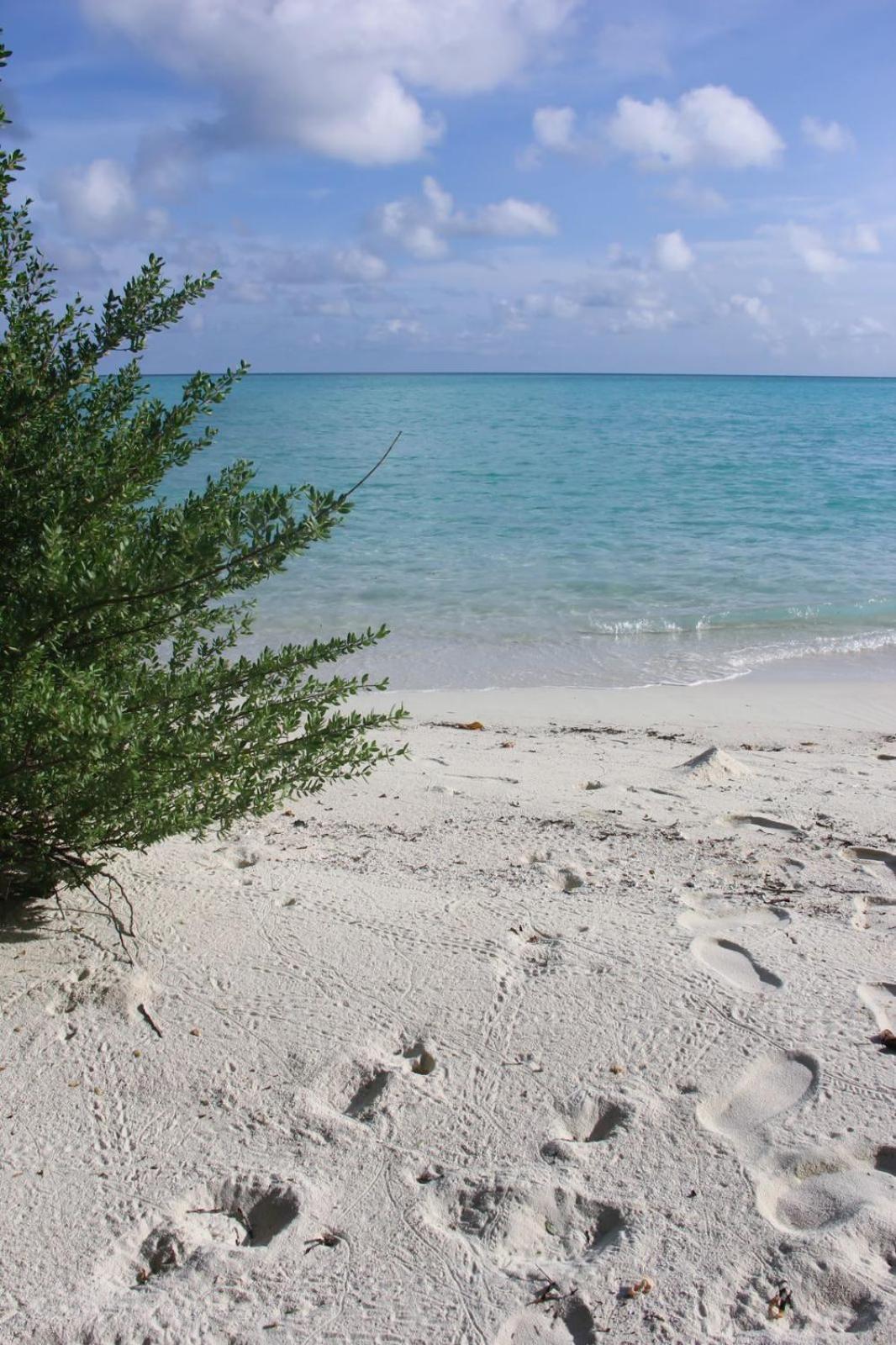 Isla Retreat Hotel Fehendhoo Ngoại thất bức ảnh